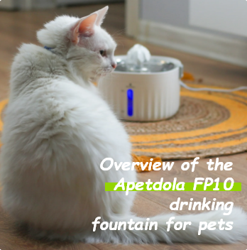 Maximizing Hydration: Our Experience with the APETDOLA FP10 Pet Fountain