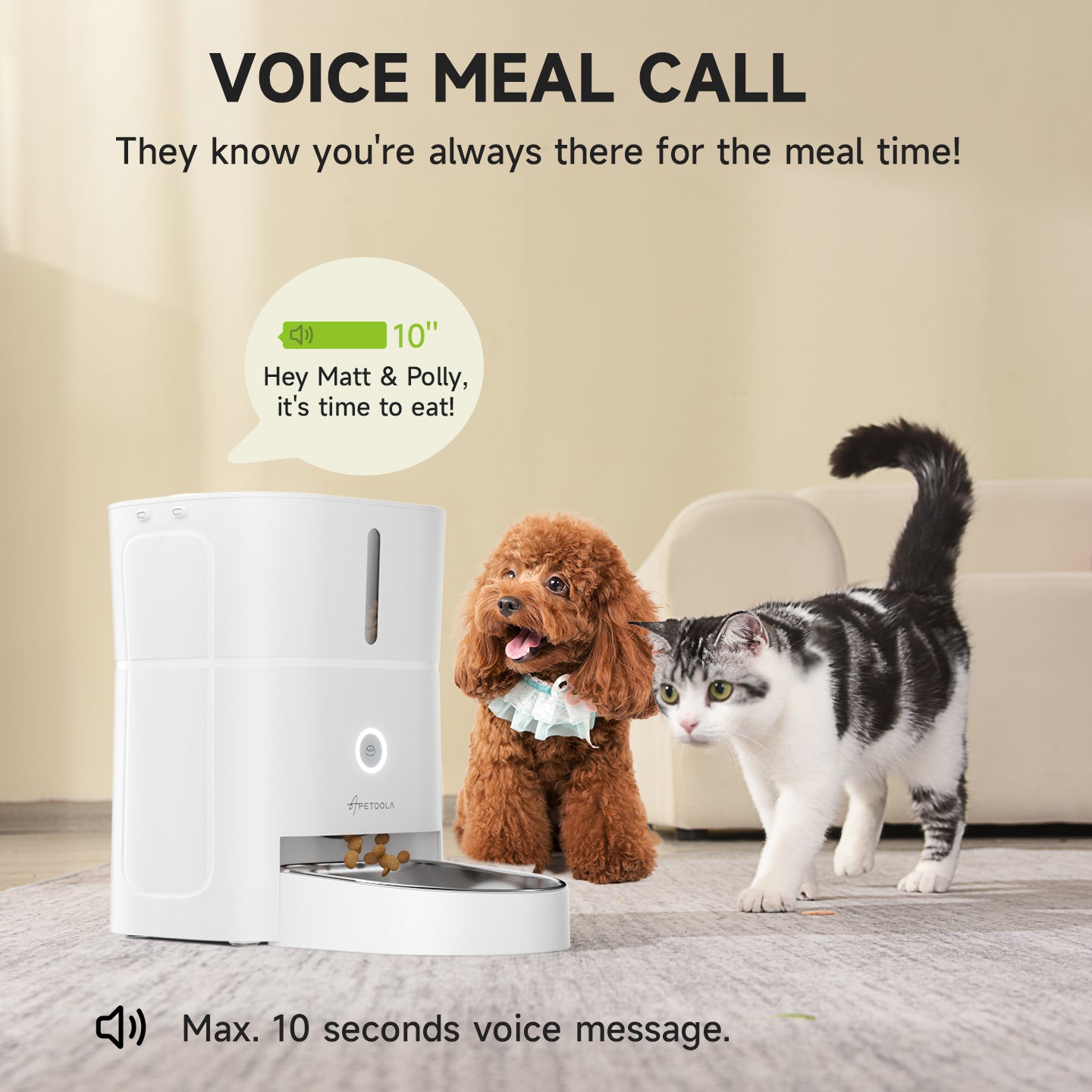 Automatic Feeder with Meal Call