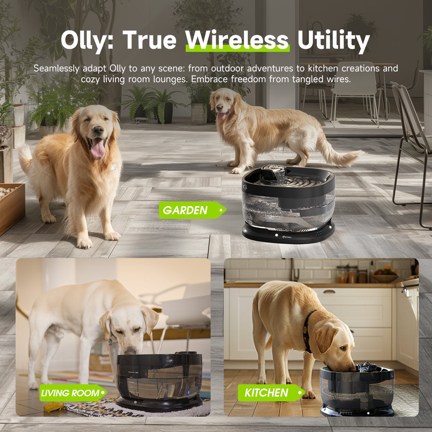 Olly Wireless 7L Dog Fountain