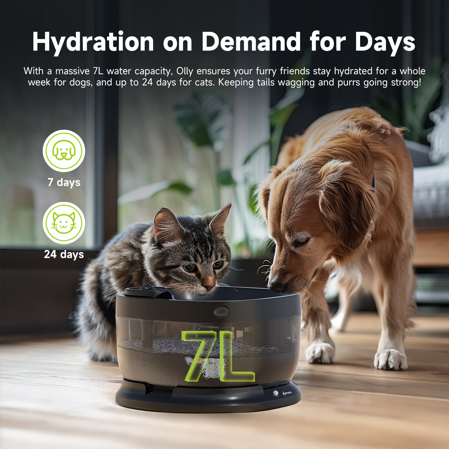 Olly Wireless 7L Dog Fountain